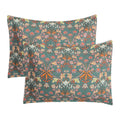 Vibrant Paisley Floral Standard Pillow Shams 2 Pack